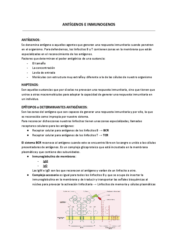 Miniatura del documento ANTIGENOS-.pdf