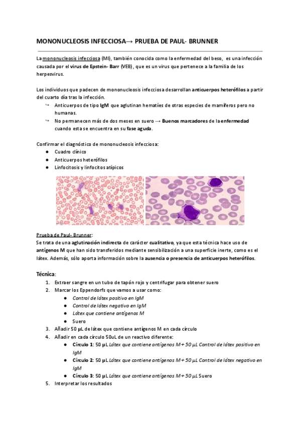 Miniatura del documento Prueba-de-Paul-Brunner.pdf
