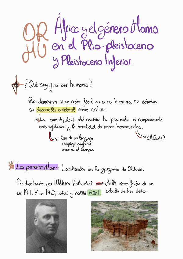 Miniatura del documento T4-El-genero-Homo-en-el-Plio-Pleistoceno-inferior.pdf