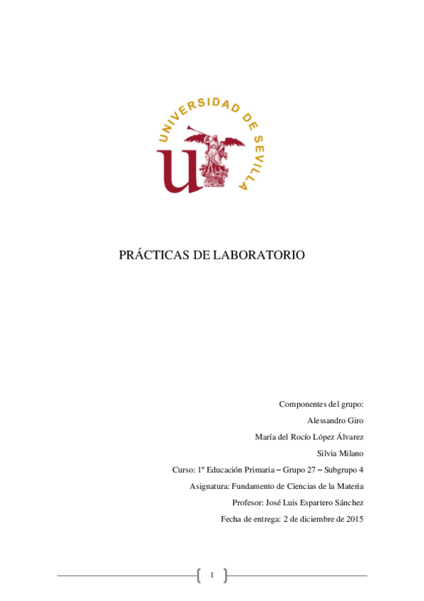 Miniatura del documento DEFINITIVO.pdf