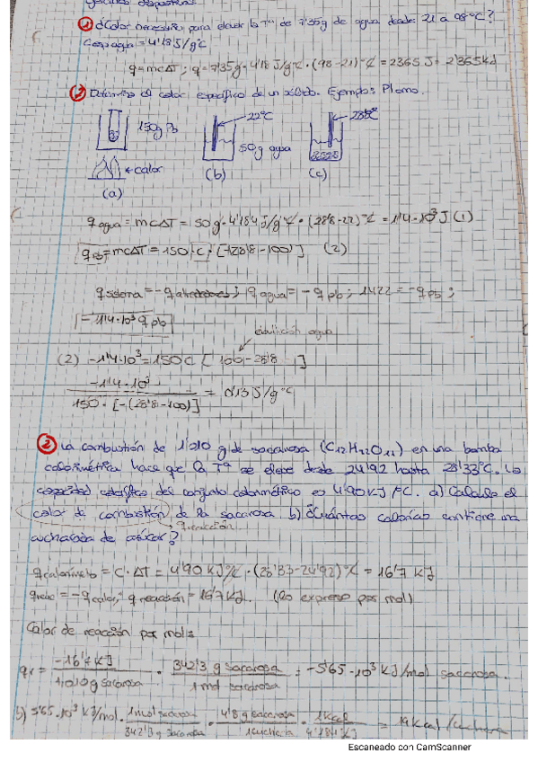 Miniatura del documento actividades-IQF.pdf