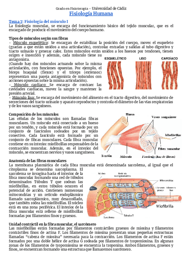 Miniatura del documento Bloque-2-Fisiologia-del-musculo