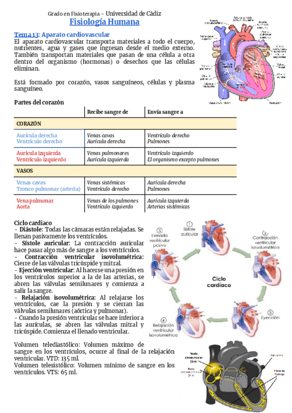 Miniatura del documento Bloque-4-Fisiologia-cardiovascular