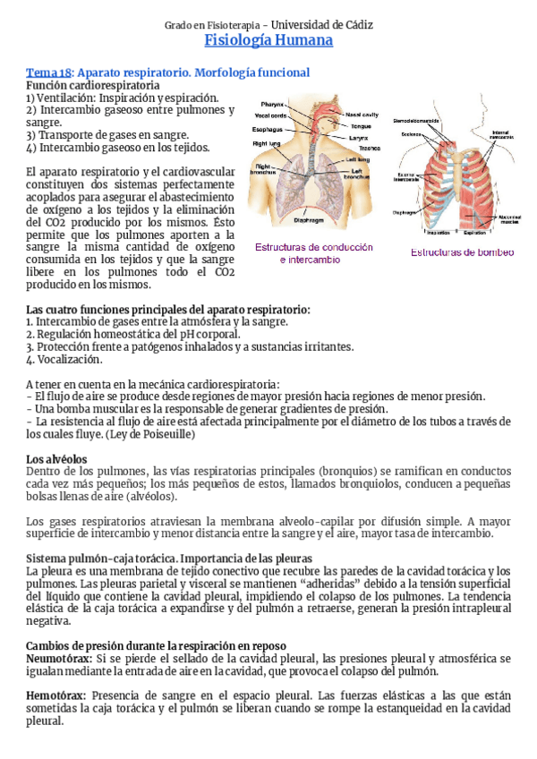 Miniatura del documento Bloque-5-Fisiologia-de-la-respiracion