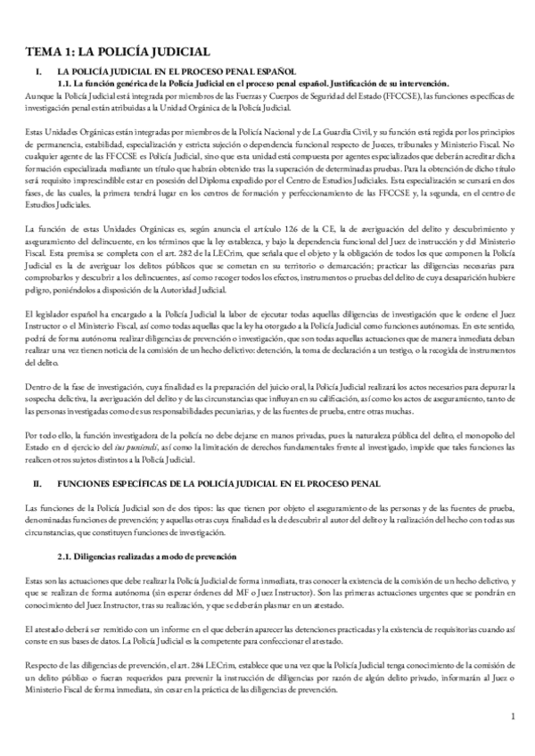 Miniatura del documento APUNTES-PROCESO-PENAL.pdf