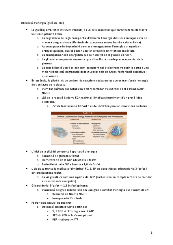 Miniatura del documento 07Glicolisi.pdf
