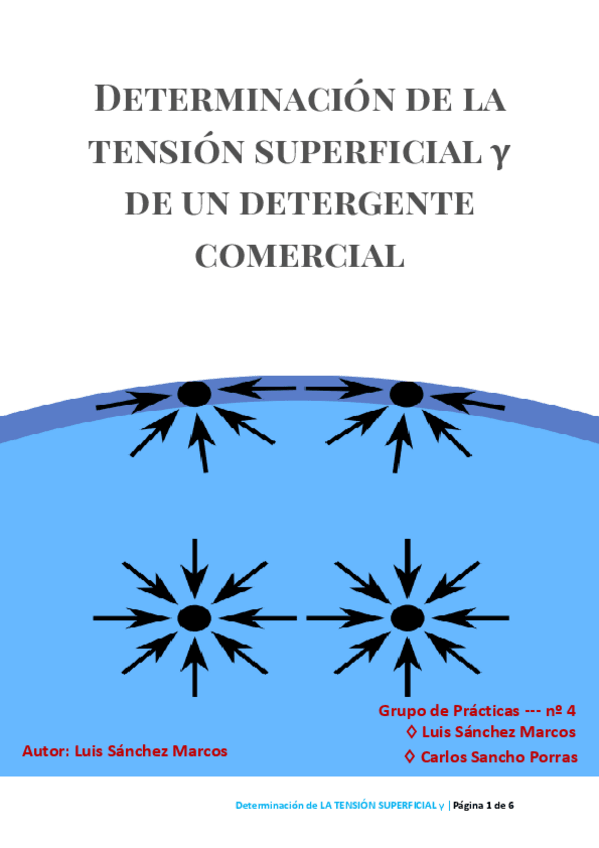 Miniatura del documento Informe-QF1b-TENSION-SUPERFICIAL.pdf