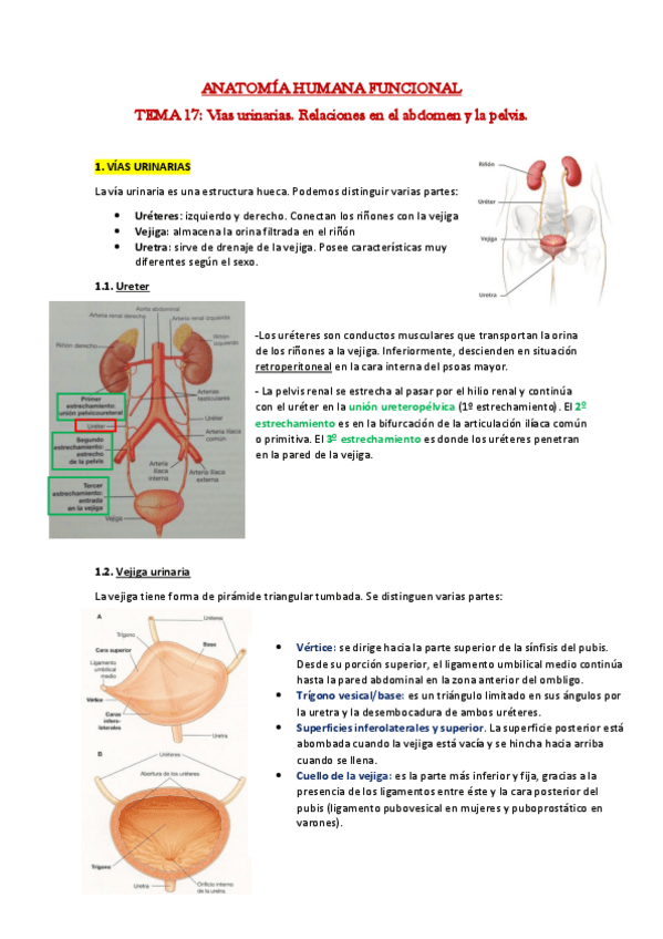 Miniatura del documento 17.pdf