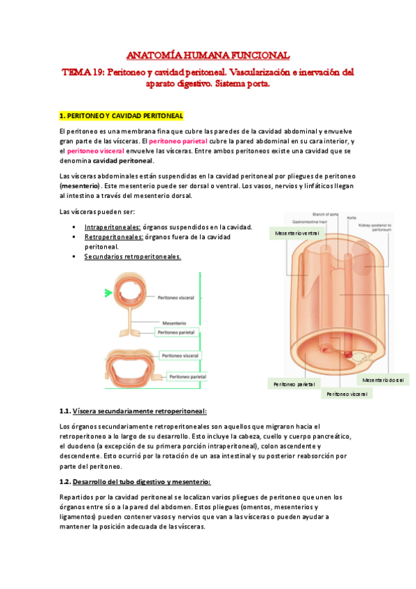Miniatura del documento 19.pdf