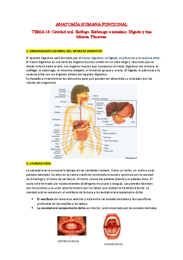 Miniatura del documento 18.pdf