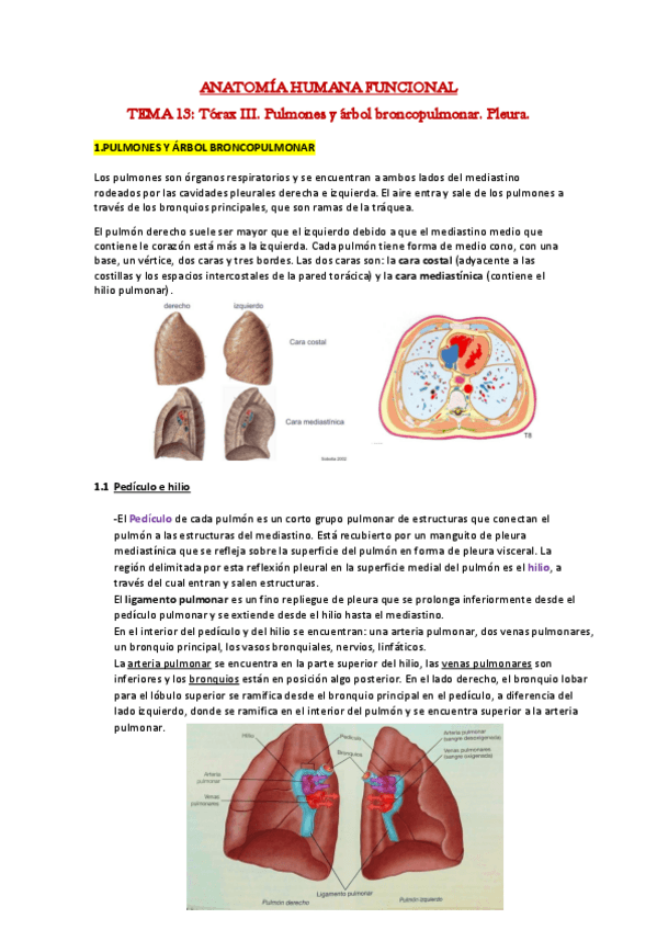 Miniatura del documento 13.pdf