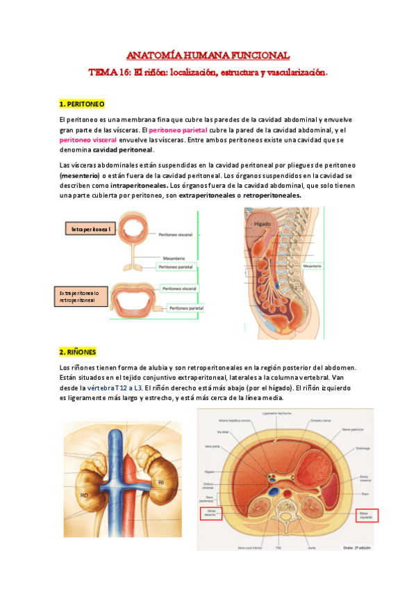Miniatura del documento 16.pdf