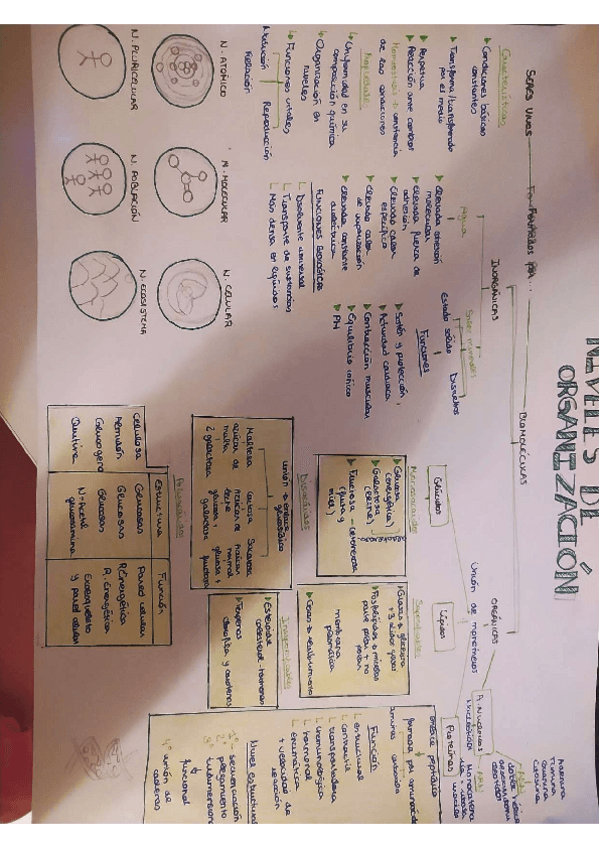 Miniatura del documento IMG20220213210903-1.pdf