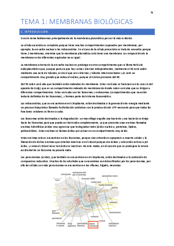 Miniatura del documento Tema 1-5 Fácil.pdf