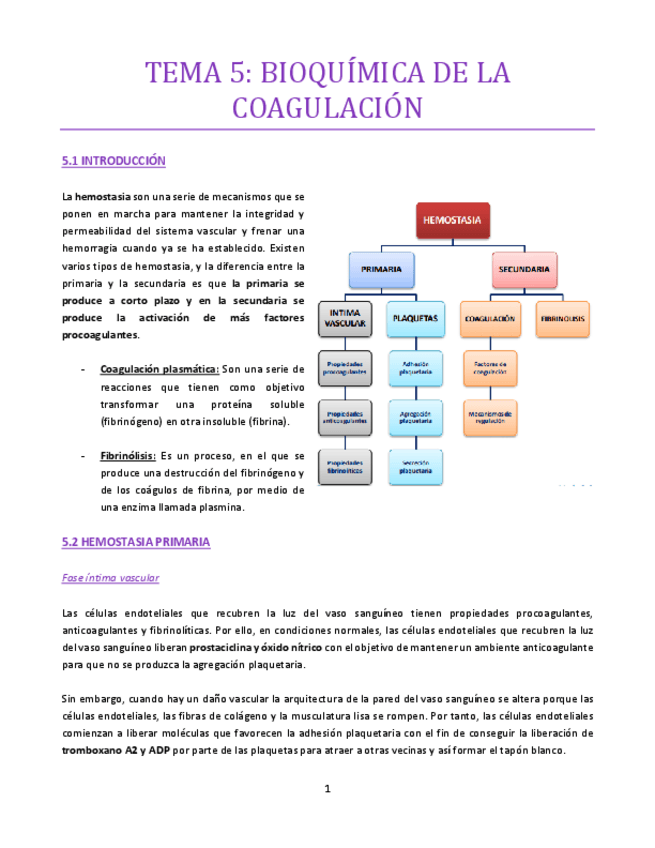 Miniatura del documento TEMA-5-bueno-hematologia.pdf