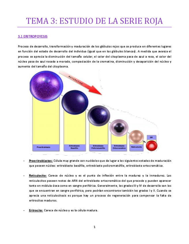 Miniatura del documento TEMA-3-bueno-hematologia.pdf