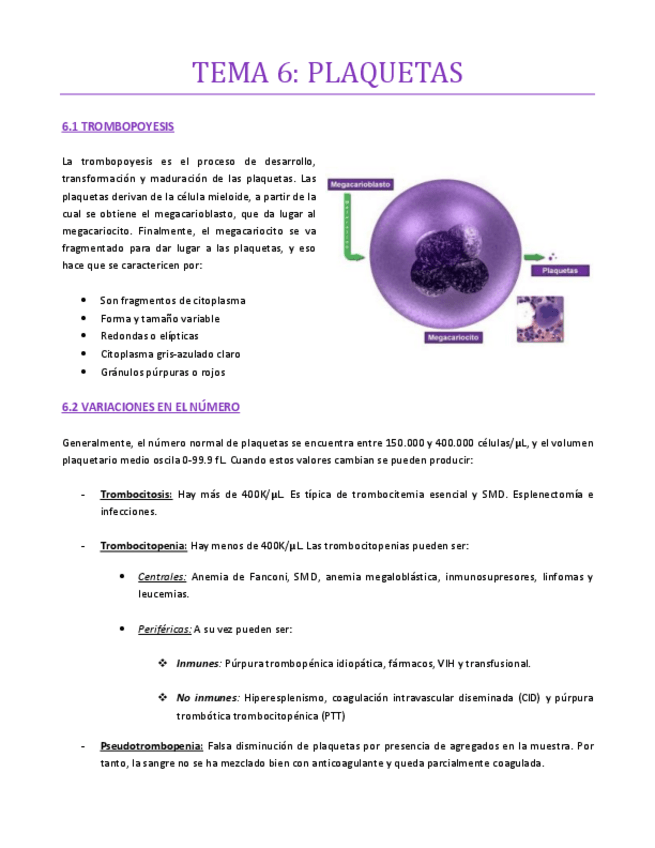 Miniatura del documento TEMA-6-bueno-hematologia.pdf