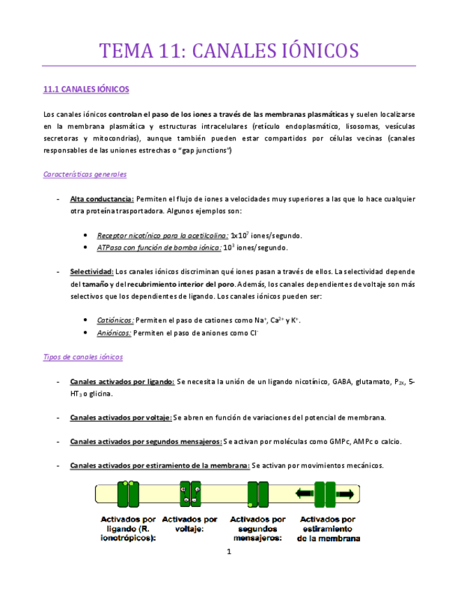 Miniatura del documento TEMA-11-bueno.pdf