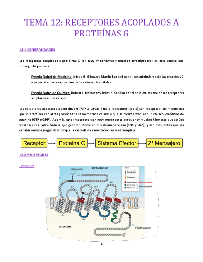 Miniatura del documento TEMA-12-bueno.pdf