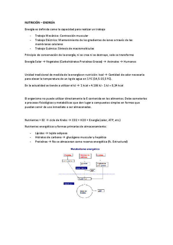 Miniatura del documento Nutricion-Energia.pdf