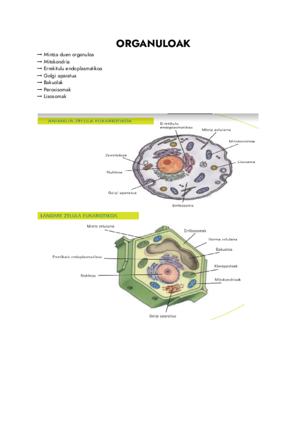 Miniatura del documento ZELULA-Documentos-de-Google.pdf