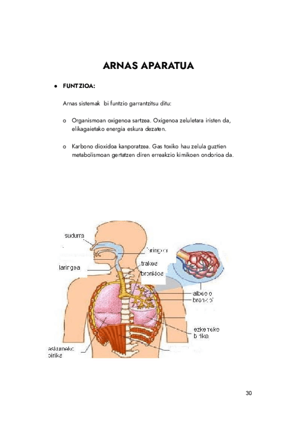 Miniatura del documento NUTRIZIOA.pdf