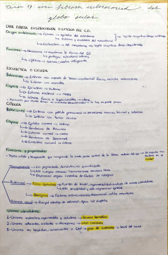 Miniatura del documento Apuntes-biologia-17-24.pdf
