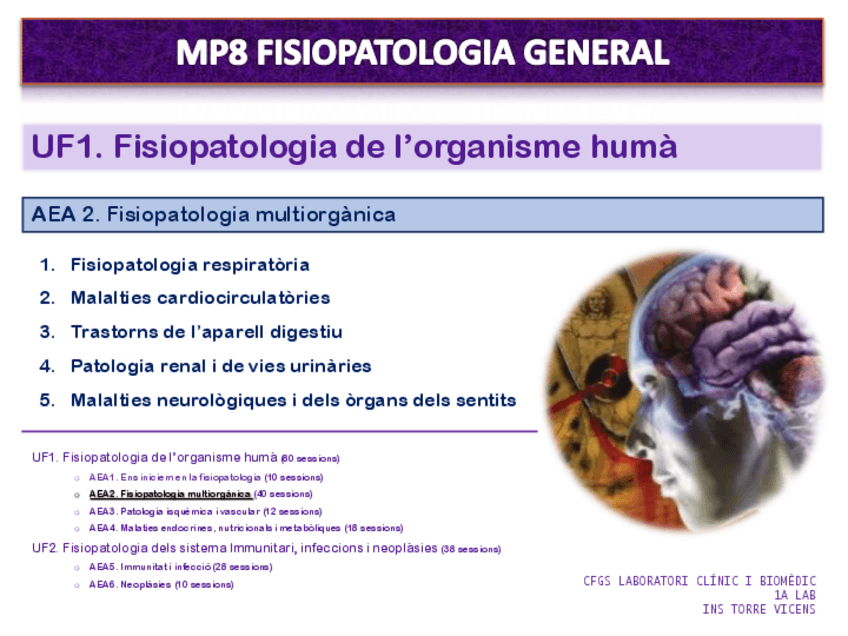 Miniatura del documento AEA2.pdf