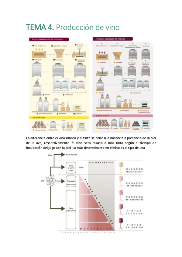 Miniatura del documento 4-VINO.pdf