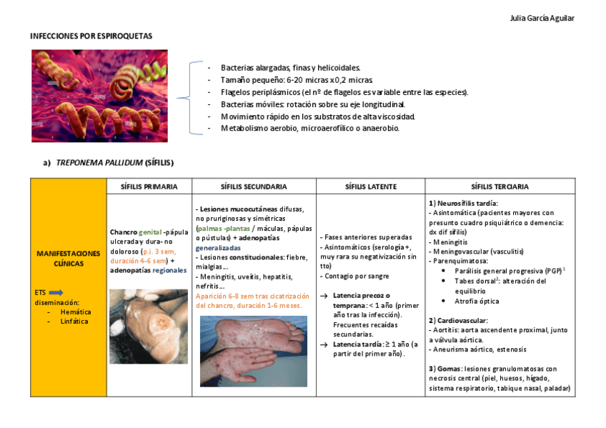 Miniatura del documento ESPIROQUETAS.pdf