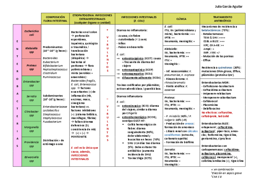 Miniatura del documento INFECCIONES-POR-BACILOS-GRAMNEGATIVOS.pdf