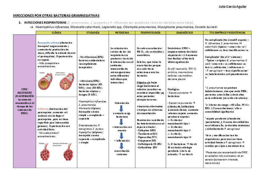 Miniatura del documento INFECCIONES-POR-OTRAS-BACTERIAS-GRAMNEGATIVAS.pdf