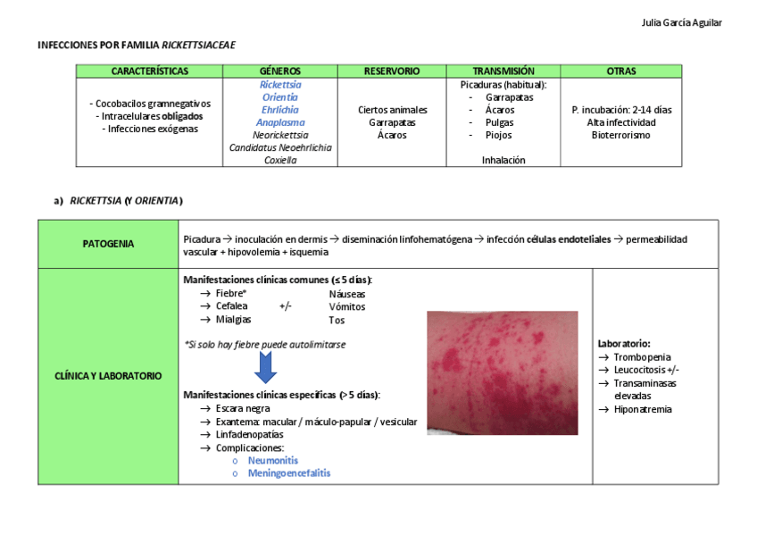 Miniatura del documento RICKETTSIAS.pdf