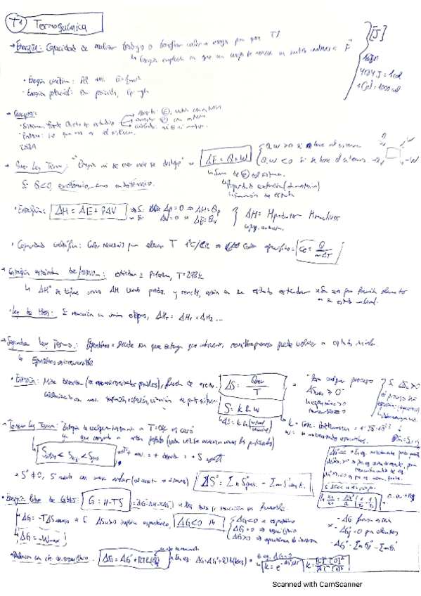Miniatura del documento Resumen-termoquimica.pdf
