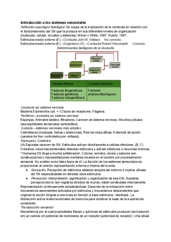 Miniatura del documento Introduccion-a-los-sistemas-sensoriales.pdf