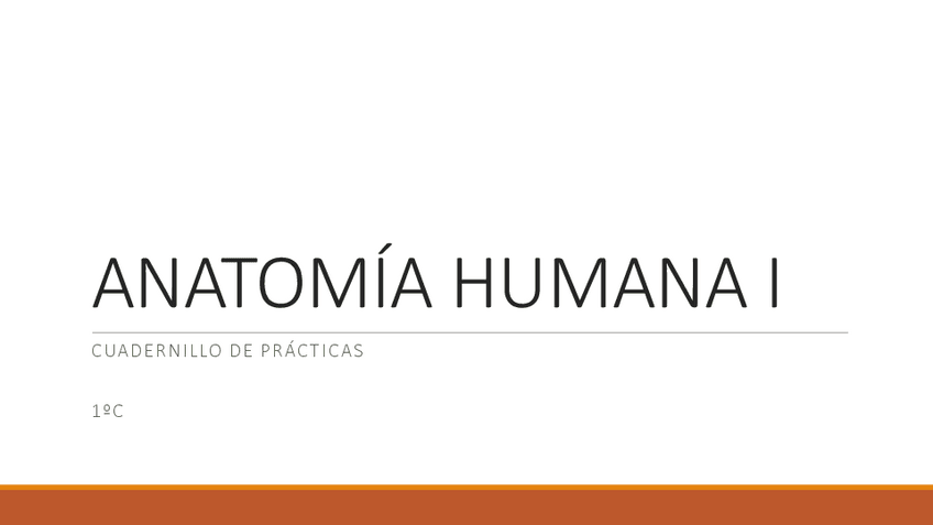 Miniatura del documento Cuadernillo-de-practicas-anatomia.pdf