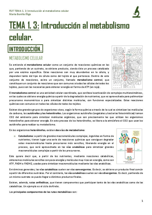 Miniatura del documento FSIT-TEMA-1.pdf