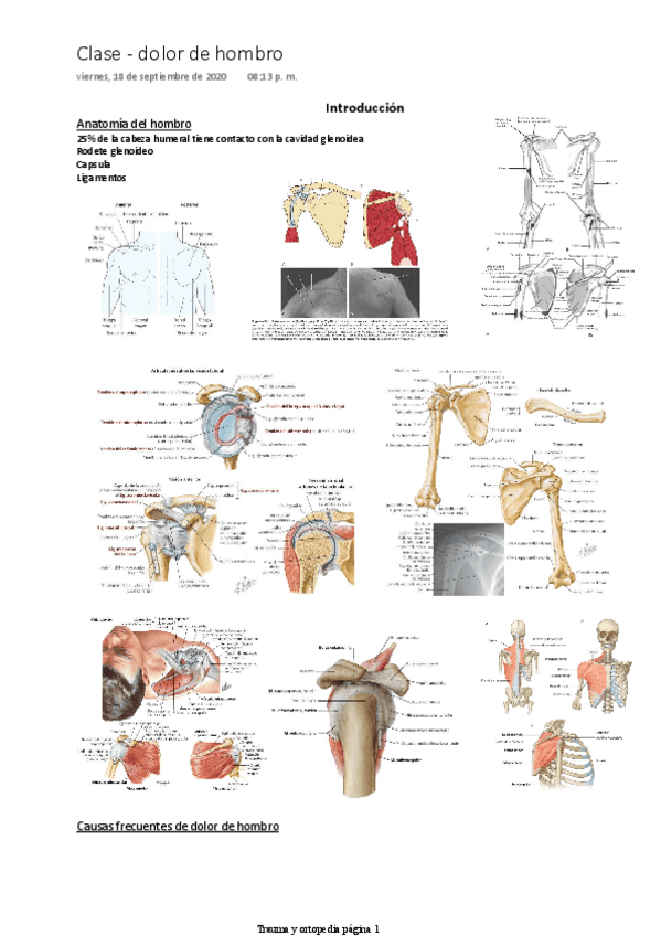 Miniatura del documento Dolor-de-hombro.pdf