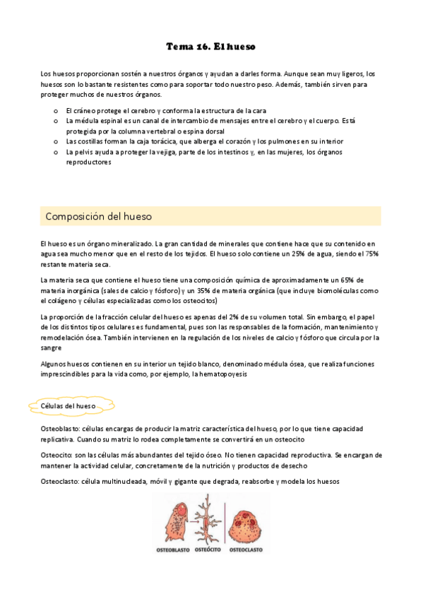 Miniatura del documento Tema-16.pdf