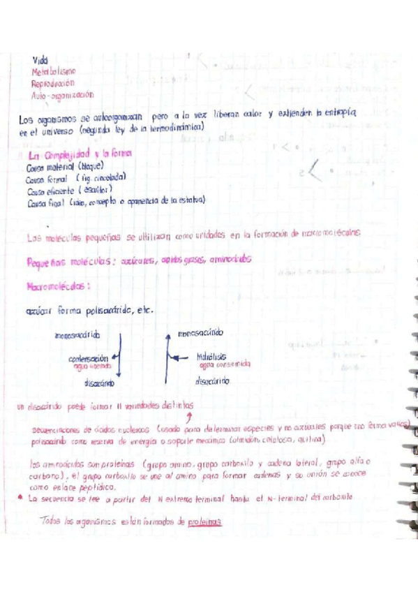 Miniatura del documento Complejidad-de-los-organismos.pdf