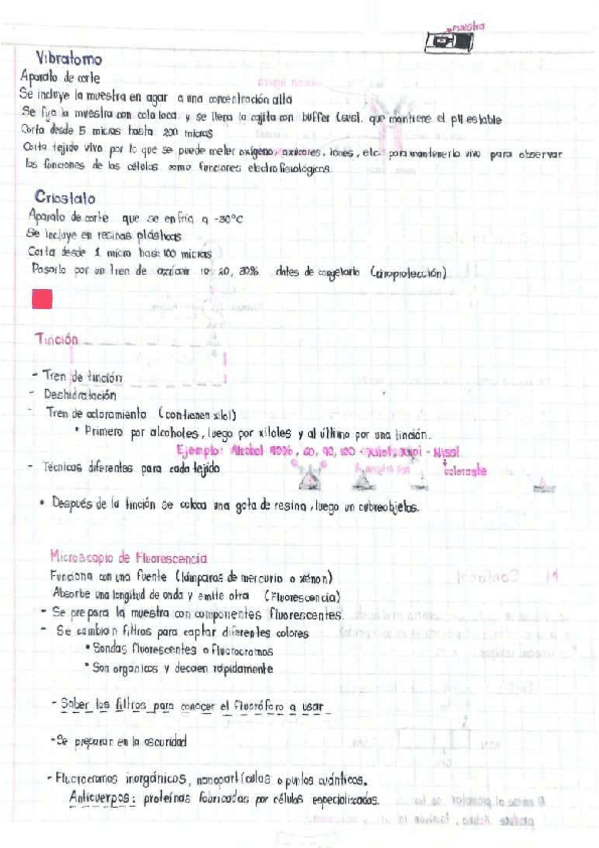 Miniatura del documento Vibratomo.pdf