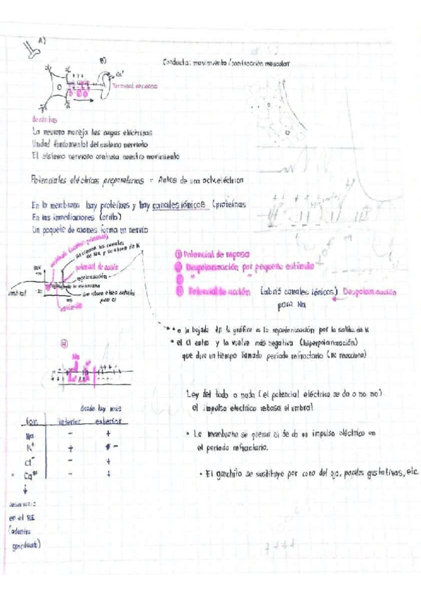 Miniatura del documento Potencial-electrico.pdf