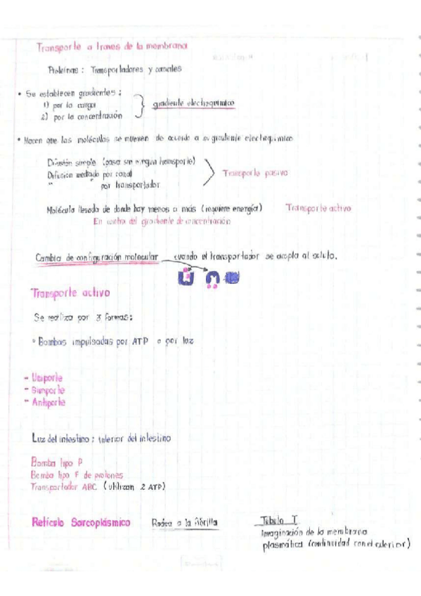 Miniatura del documento Transporte-de-iones.pdf