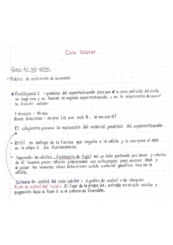Miniatura del documento Ciclo-celular.pdf