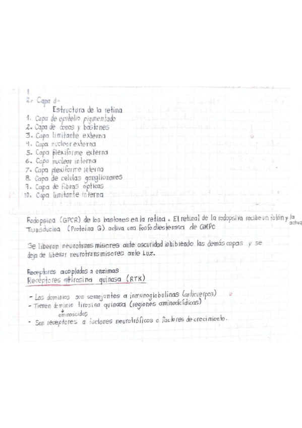 Miniatura del documento Estructura-de-la-retina.pdf