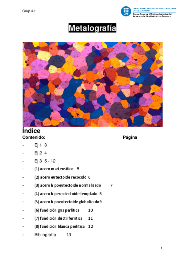 Miniatura del documento PracticaMetalografia.pdf