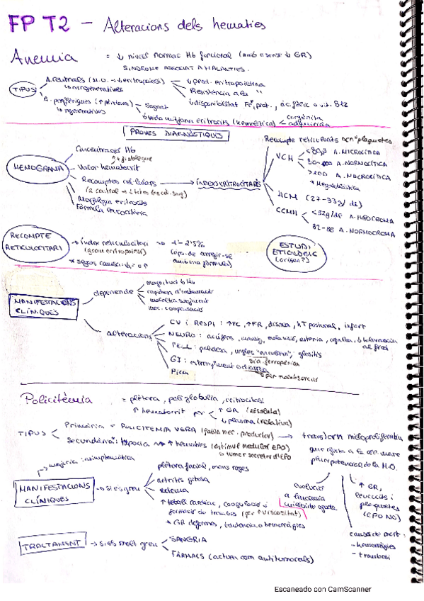 Miniatura del documento Esquemes-Fisiopatologia.pdf