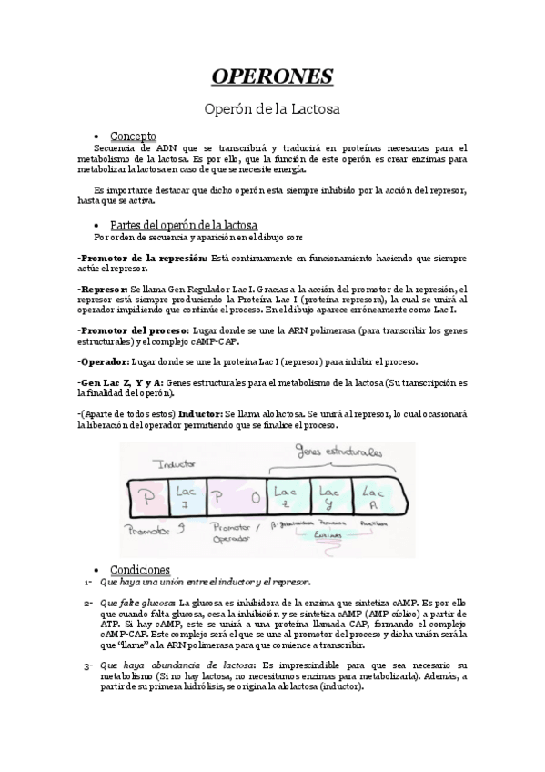 Miniatura del documento OPERONES.pdf