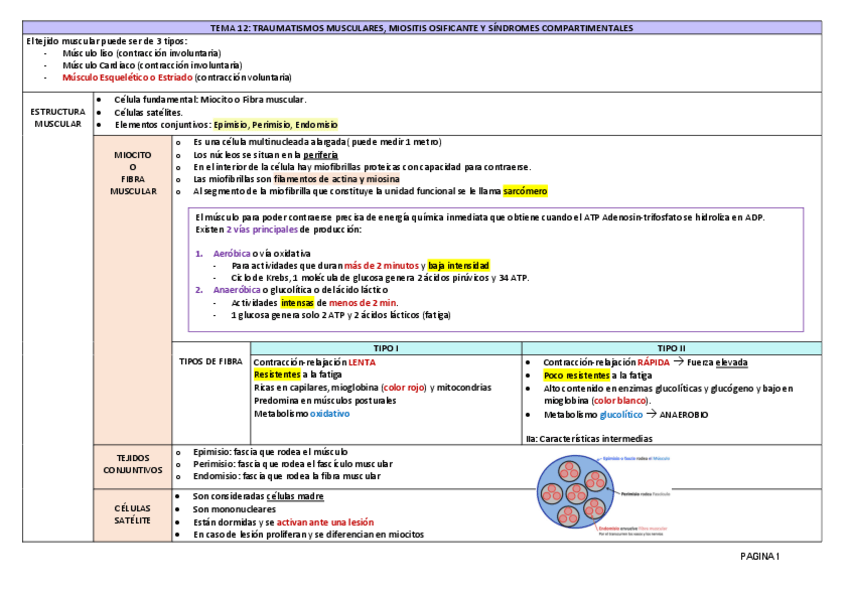 Miniatura del documento TEMA-12.pdf
