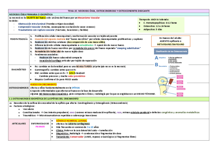 Miniatura del documento TEMA-15.pdf